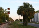 SE Live Oak signal